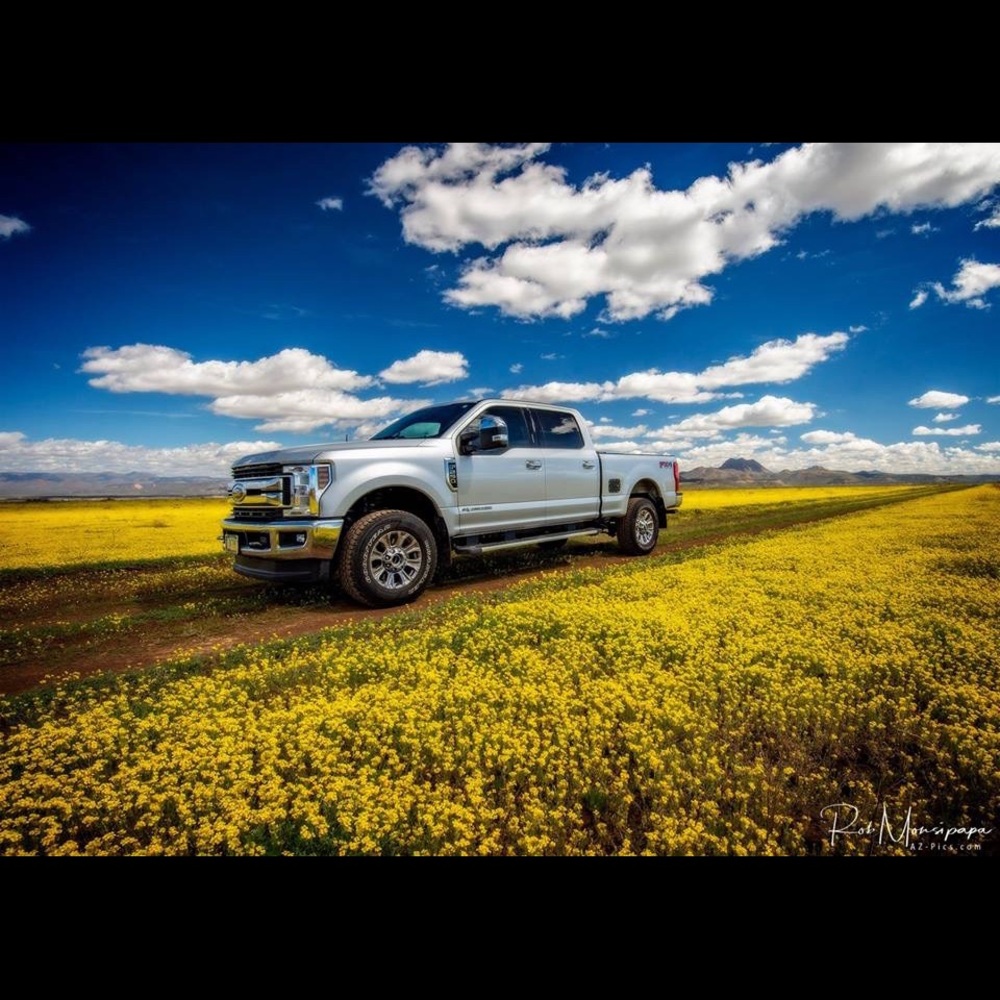 Meet your Posher, Rob